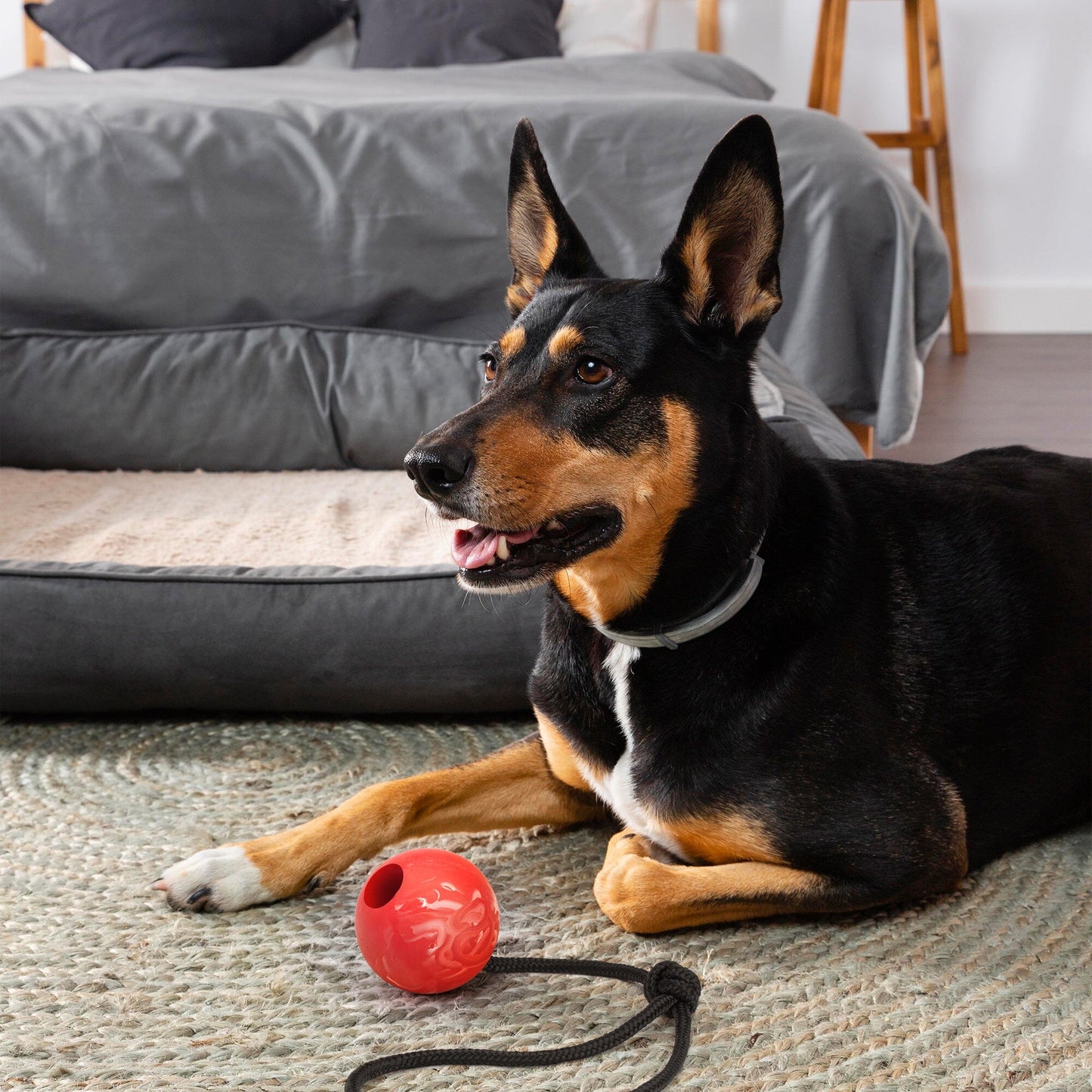 Rubber Euro Ball with Rope Dog Toys Dogline