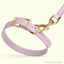 Viper Biothane Waterproof Dog Collar - Brass Hardware - Size XL (22 to 25 inches) Dog Collars Dogline
