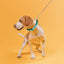 Biothane Adjustable Martingale Collar with Metal Buckle Dog Collars Dogline