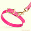 Viper Biothane Waterproof Dog Collar - Brass Hardware - Size XS (9 to 12 inches) Dog Collars Dogline