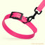 Biothane Waterproof Dog Collar - X-Small (9 to 12 inches) Dog Collars Dogline
