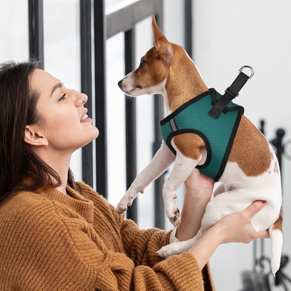 York Mesh Dog Harness Dog Harnesses Dogline