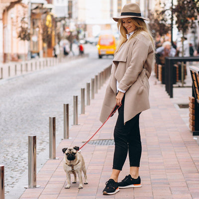 Soft Leather Round Dog Lead Dog Leashes Dogline