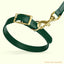 Viper Biothane Waterproof Dog Collar with Brass Hardware Dog Collars Dogline