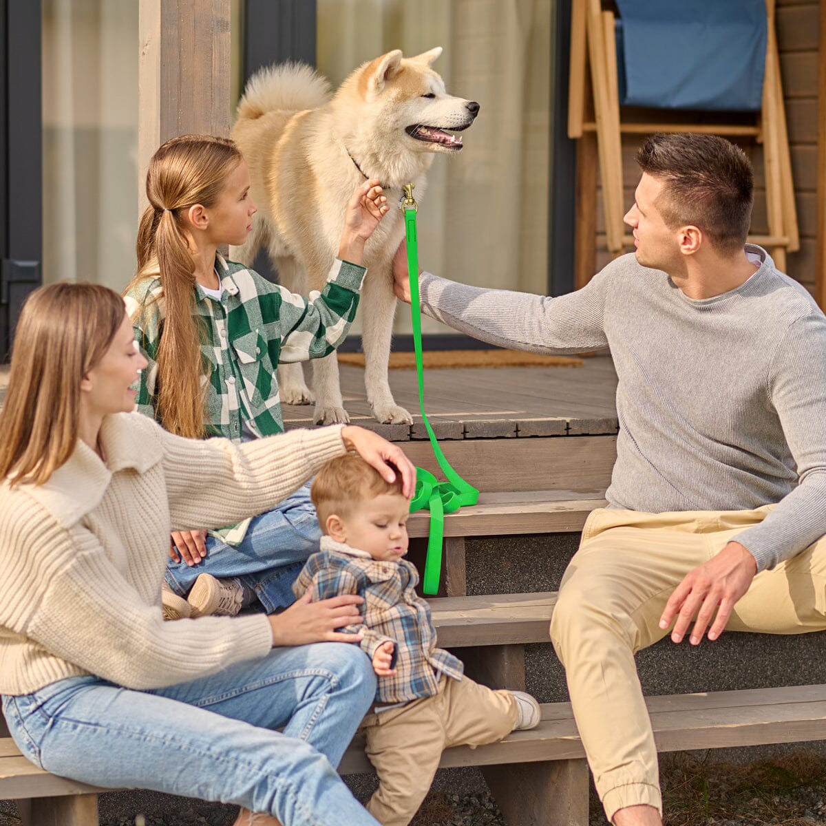 Viper Biothane Long Line 10 ft Lead with Brass Hardware Dog Leashes Dogline