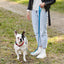 Biothane Waterproof Traffic Lead for Dogs, 2 ft Dog Leashes Dogline