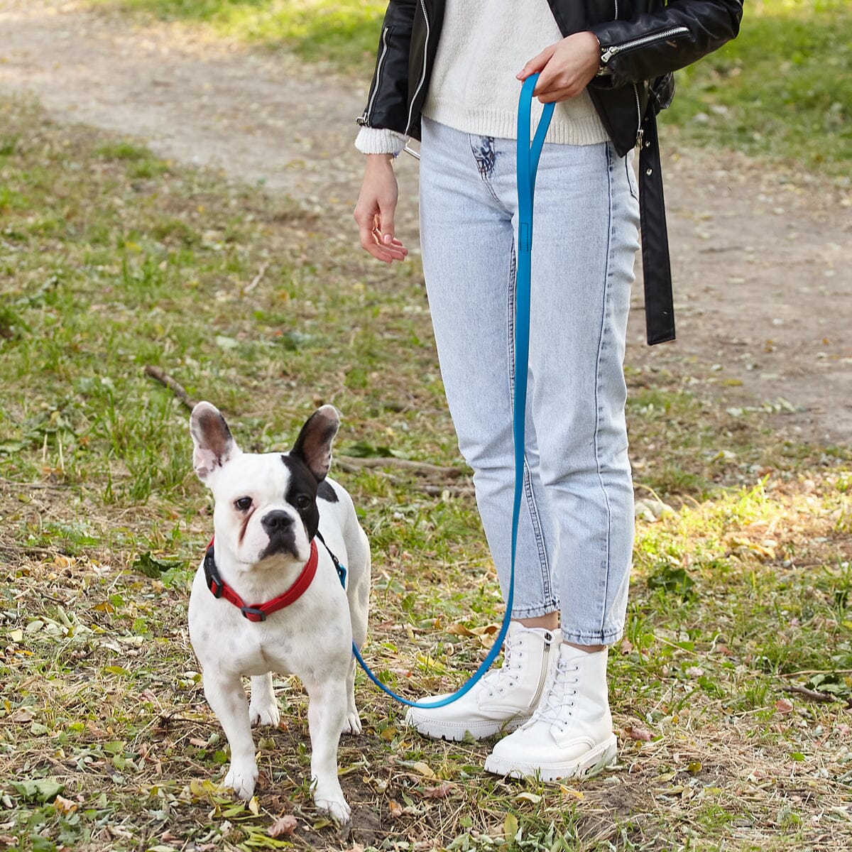 Biothane Waterproof Traffic Lead for Dogs, 2 ft Dog Leashes Dogline