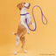 Soft Leather Round Dog Lead Dog Leashes Dogline