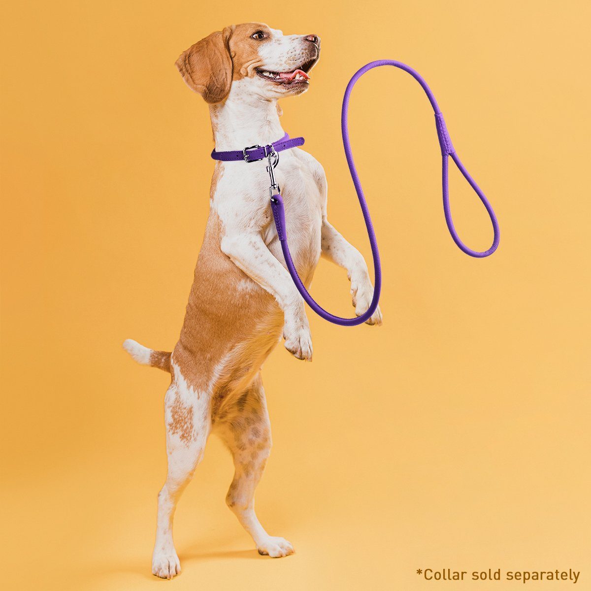 Soft Leather Round Dog Lead Dog Leashes Dogline