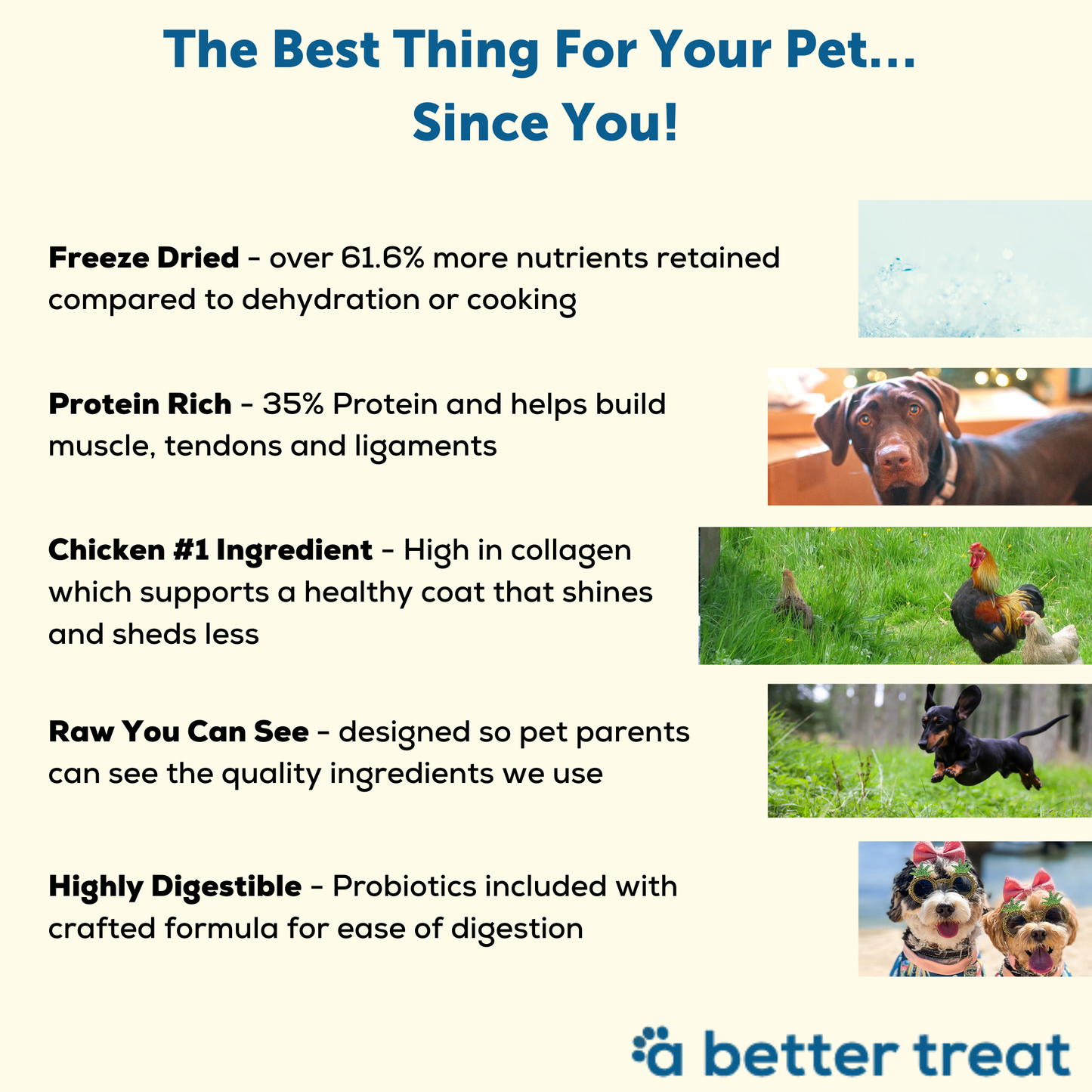 A Better Dog Food Chicken - Raw You Can See A Better Treat