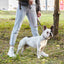 Biothane Waterproof Multi-Handle Dog Leash Dog Leashes Dogline