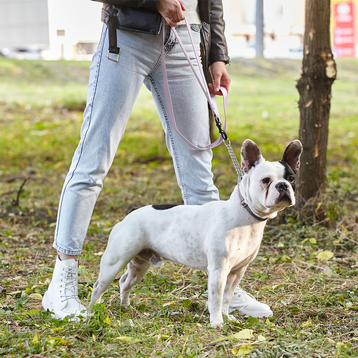 Biothane Waterproof Multi-Handle Dog Leash Dog Leashes Dogline