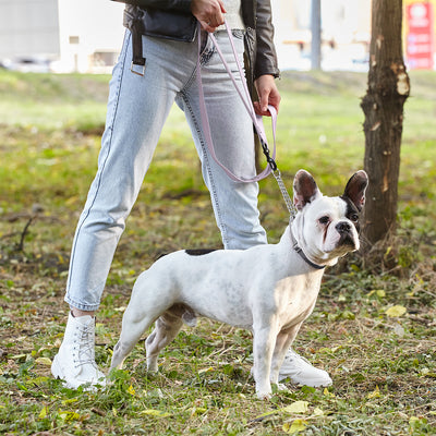 Biothane Waterproof Multi-Handle Dog Leash Dog Leashes Dogline
