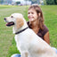 Soft Leather Round Dog Collar Dog Collars Dogline