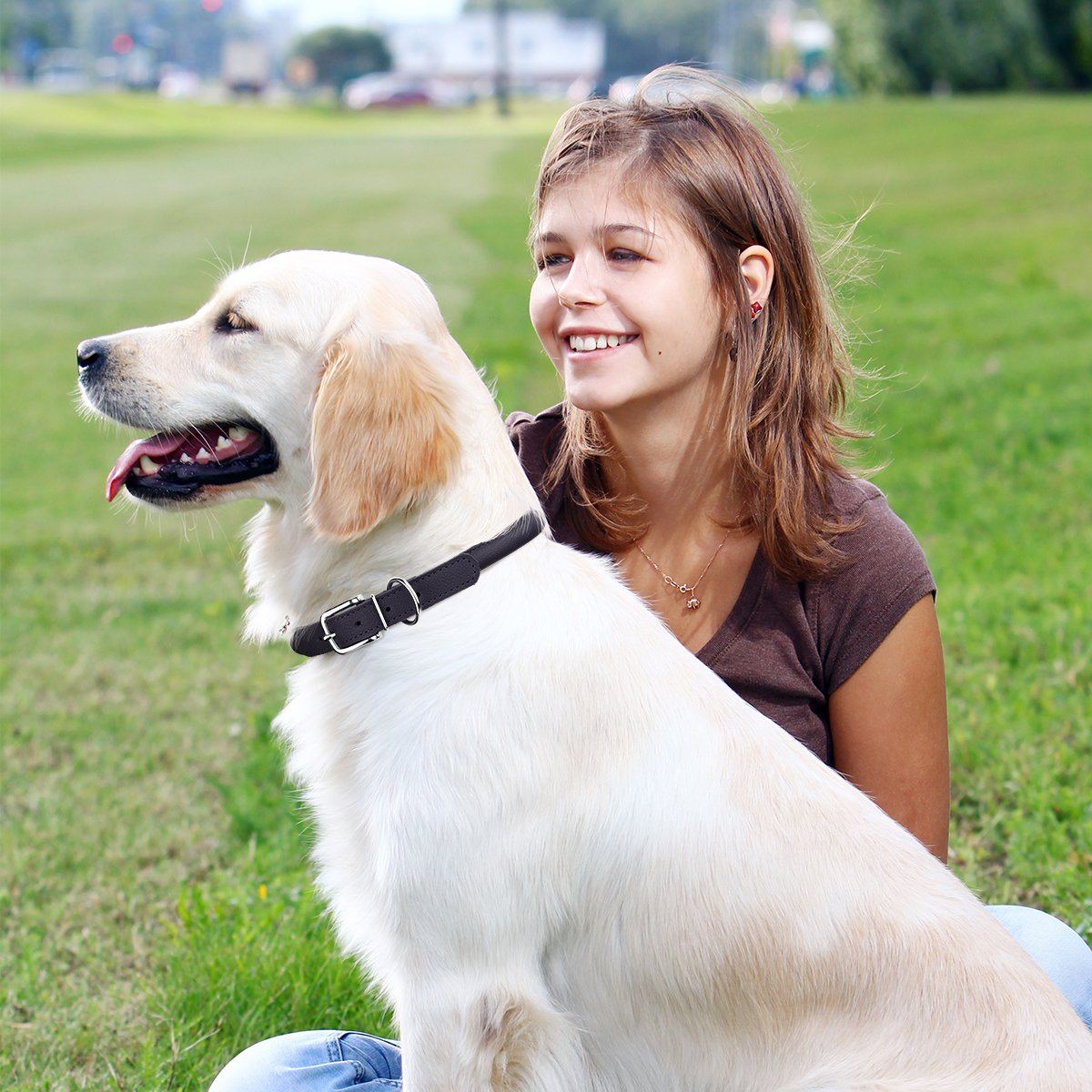 Soft Leather Round Dog Collar Dog Collars Dogline