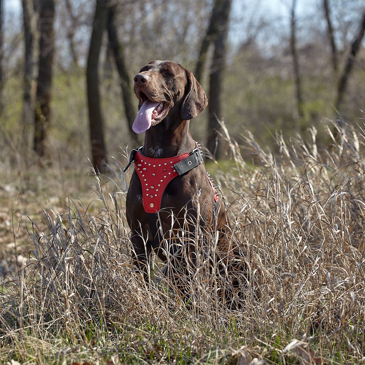 Leather + Nylon Spiked Dog Harness Dog Harnesses Dogline