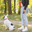 Biothane Waterproof Traffic Lead for Dogs, 2 ft Dog Leashes Dogline