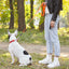Biothane Waterproof Dog Leash, 4 ft Dog Leashes Dogline