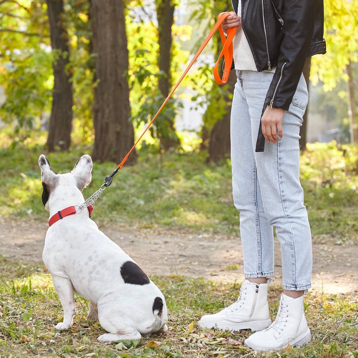 Biothane Waterproof Dog Leash, 4 ft Dog Leashes Dogline