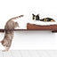 The Cat Nest Bed English Chestnut Bamboo Cream Plush 34" Escape Hatch Cat shelves/bed Catastrophic Creations