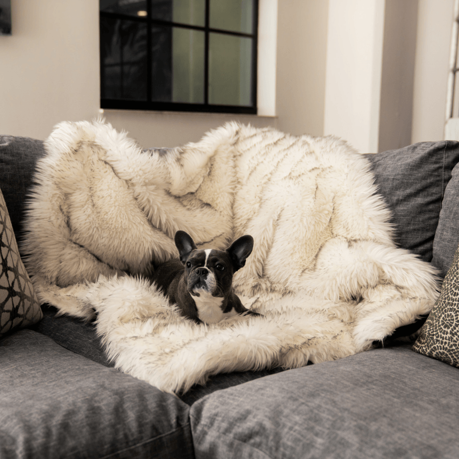 PupProtector™ Waterproof Throw Blanket - White with Brown Accents Dog Blanket Paw.com