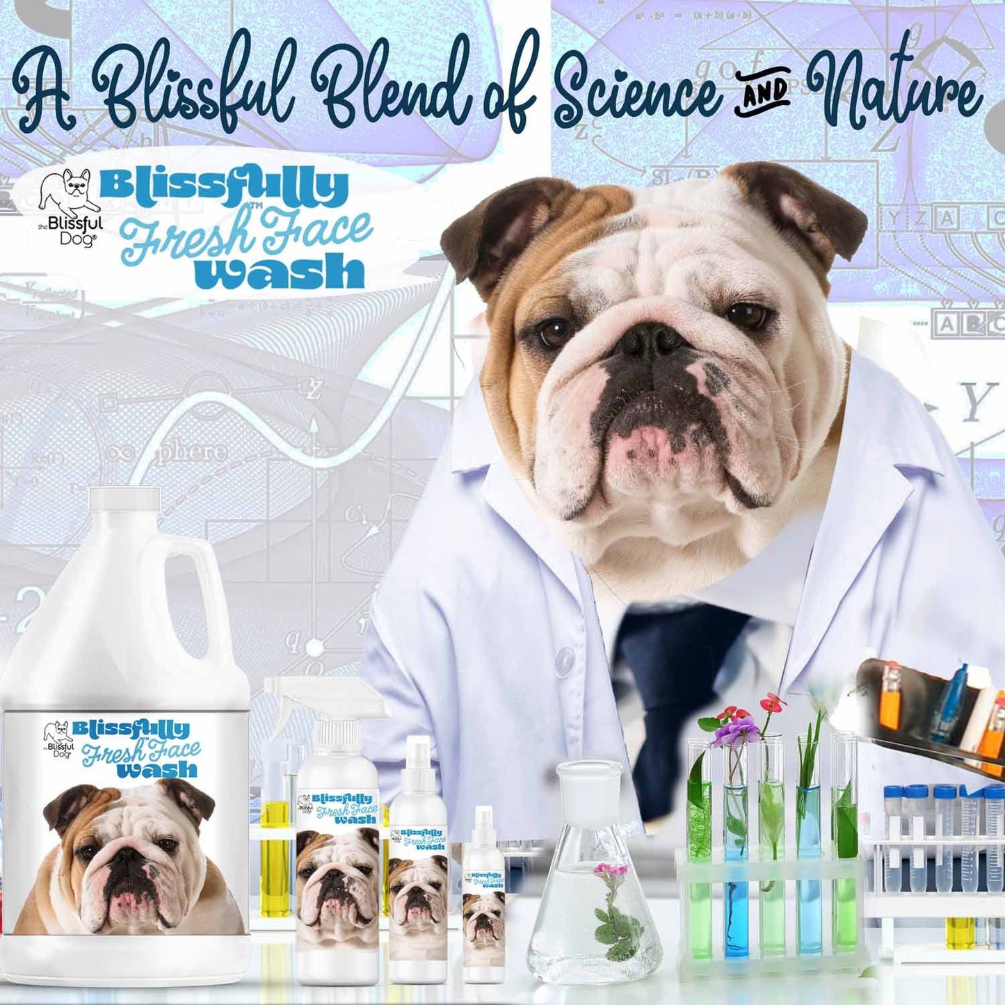 Bulldog Blissfully Fresh™ Face Wash FACE WASH The Blissful Dog