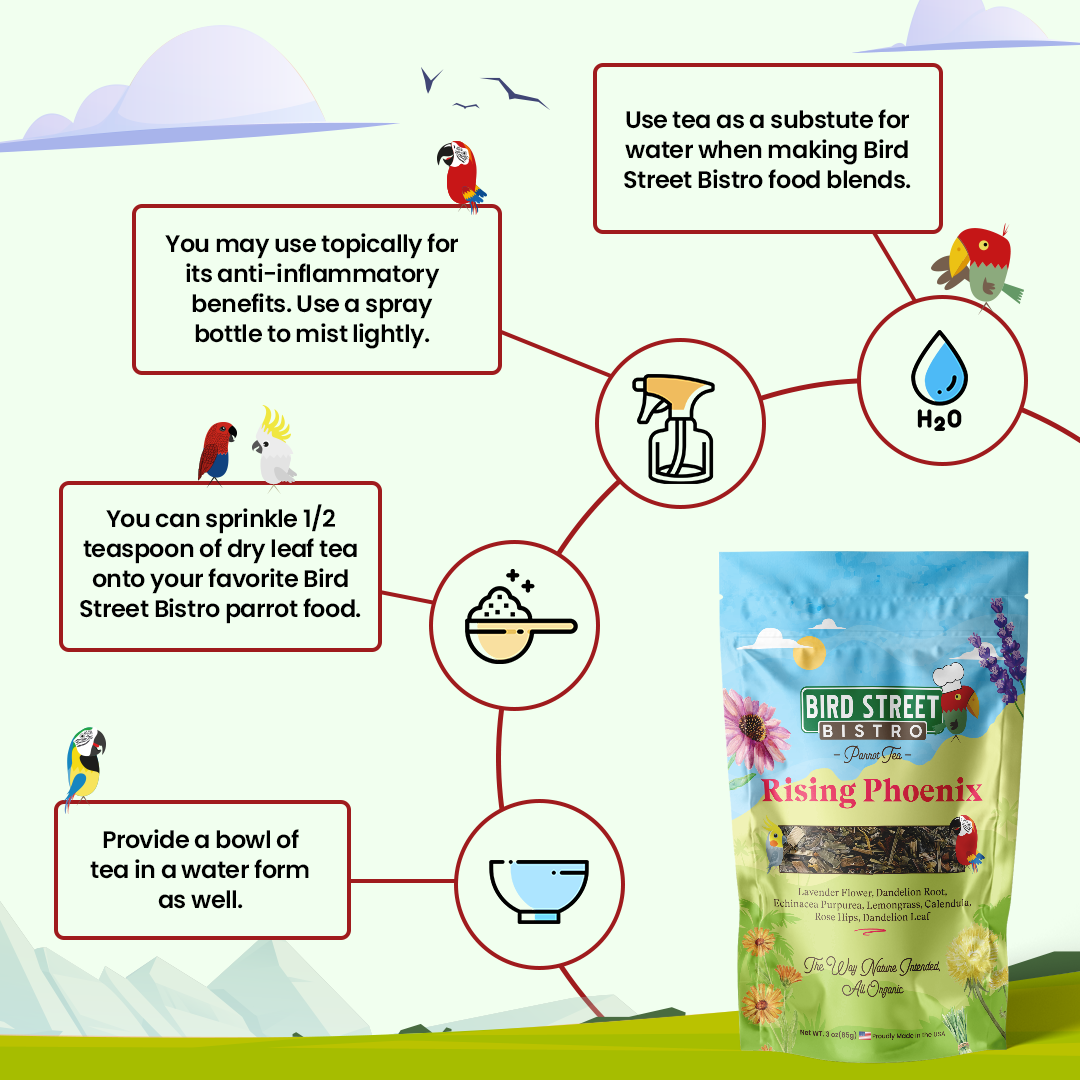 Parrot Tea Bundle Pack Parrot Tea Bird Street Bistro