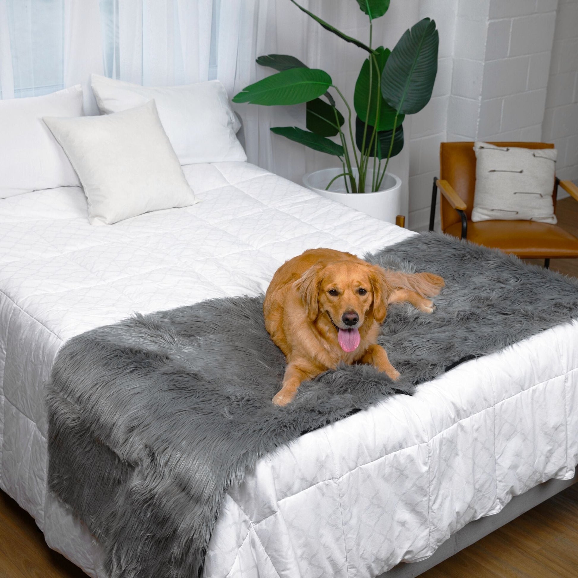 PupProtector™ Waterproof Bed Runner - Charcoal Grey Dog Blanket Paw.com