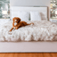 PupProtector™ Waterproof Throw Blanket - White with Brown Accents Dog Blanket Paw.com