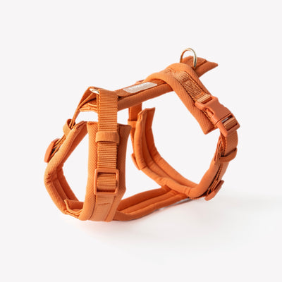 Terracotta - Comfort Dog Harness Comfort Harness FURLOU