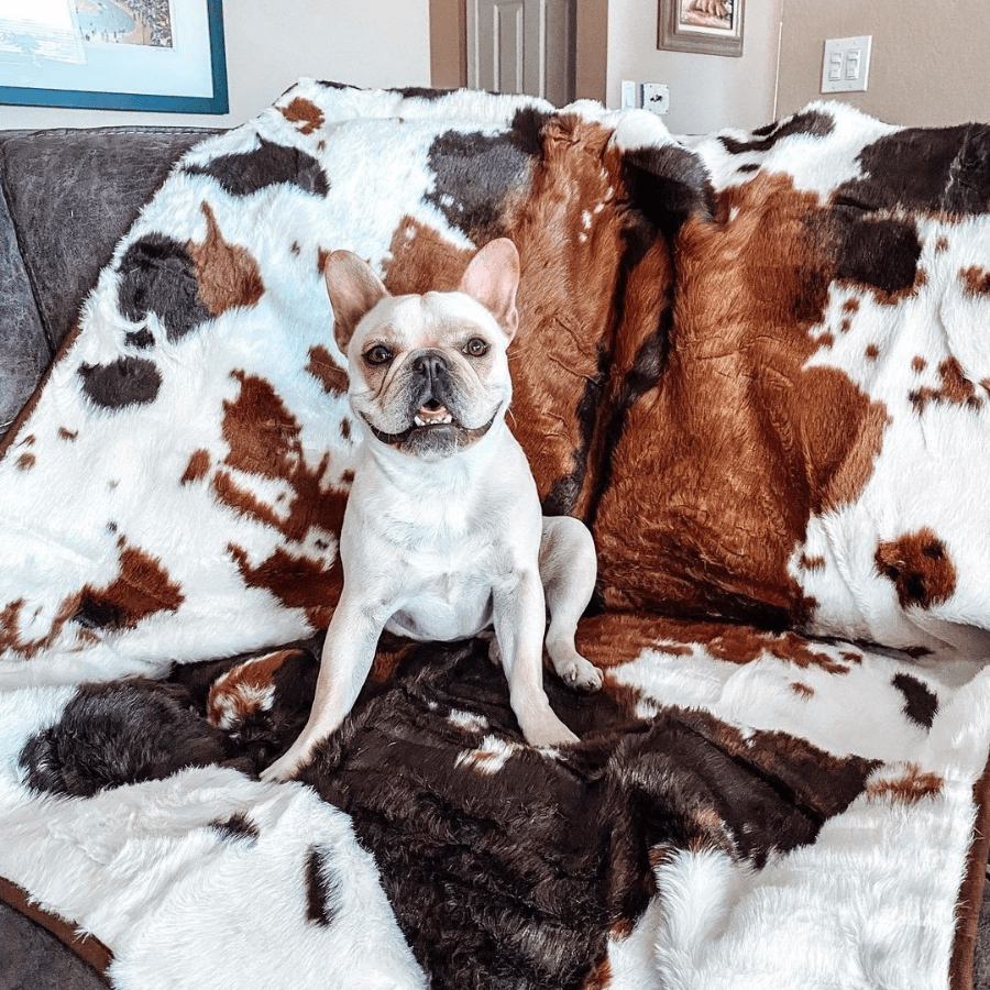 PupProtector™ Waterproof Throw Blanket - Brown Faux Cowhide Dog Blanket Paw.com