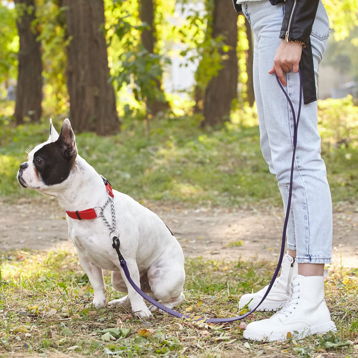 Biothane Waterproof Traffic Lead for Dogs, 2 ft Dog Leashes Dogline