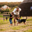 Unimax Multi-Purpose Dog Harness Dog Harnesses Dogline