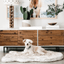 PupRug by Paw.com® Faux Fur Orthopedic Dog Bed - Curve White with Brown Accents Dog Beds Paw.com