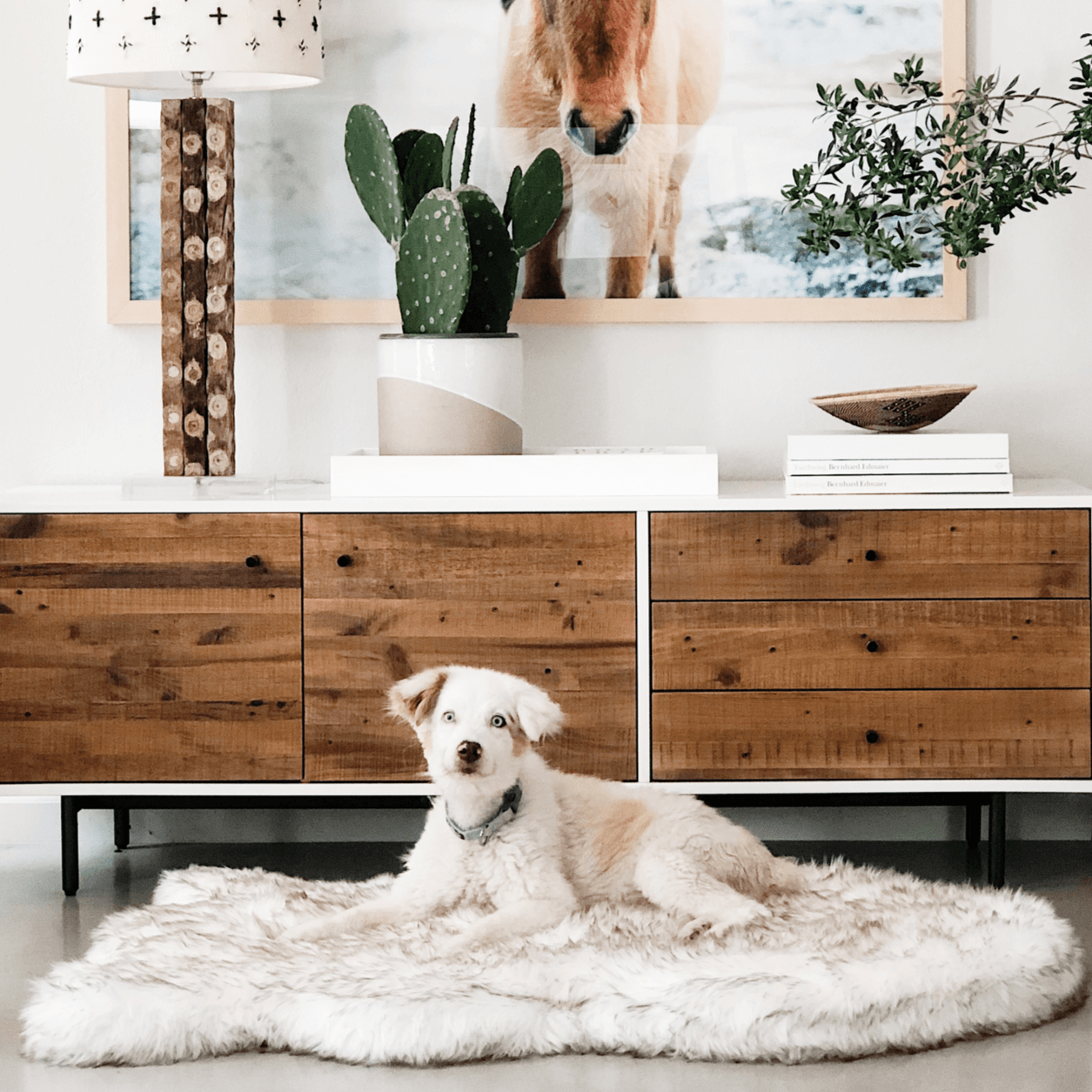 PupRug by Paw.com® Faux Fur Orthopedic Dog Bed - Curve White with Brown Accents Dog Beds Paw.com