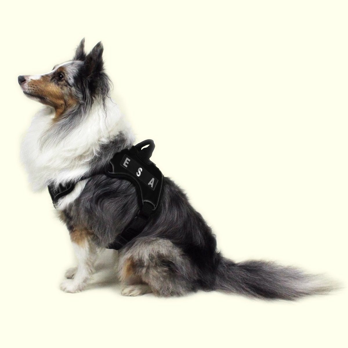 Removable Reflective Patches (Set of 2) Dog Harnesses Dogline