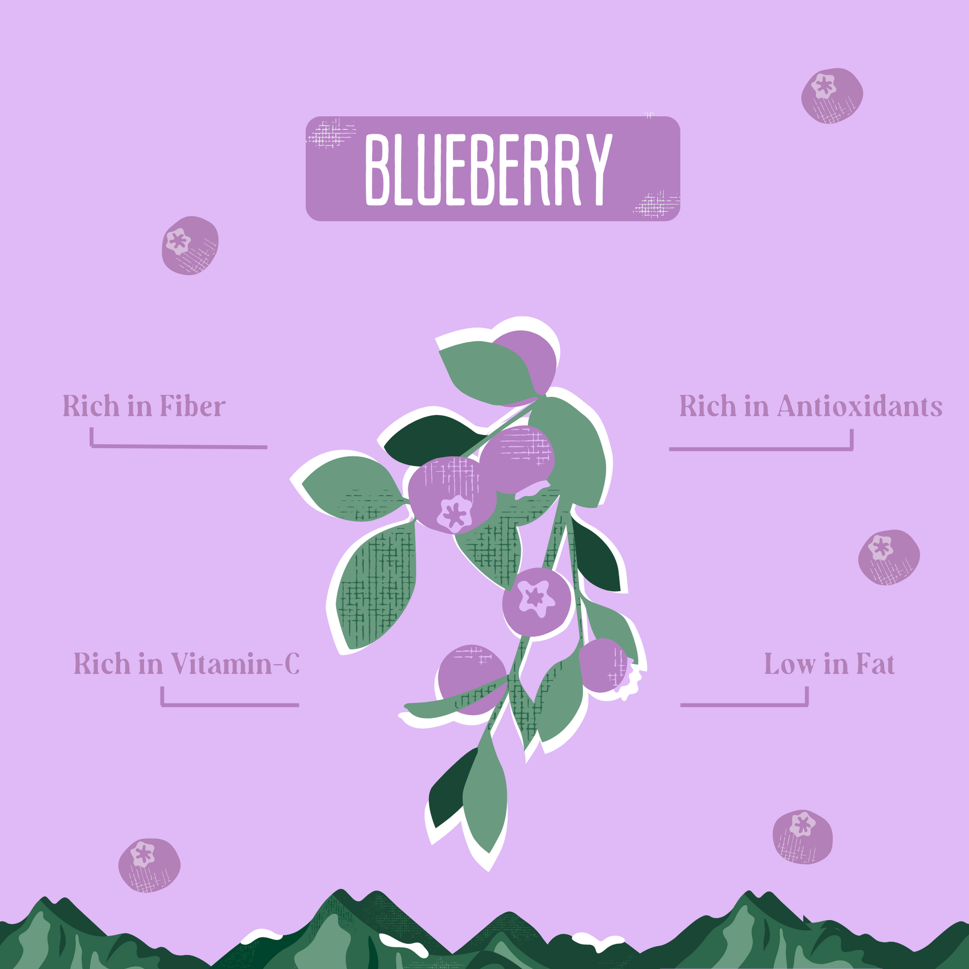 Blueberry Cheese Chews for Dogs BLUEBERRY YAK CHEWS Yak9 Chews