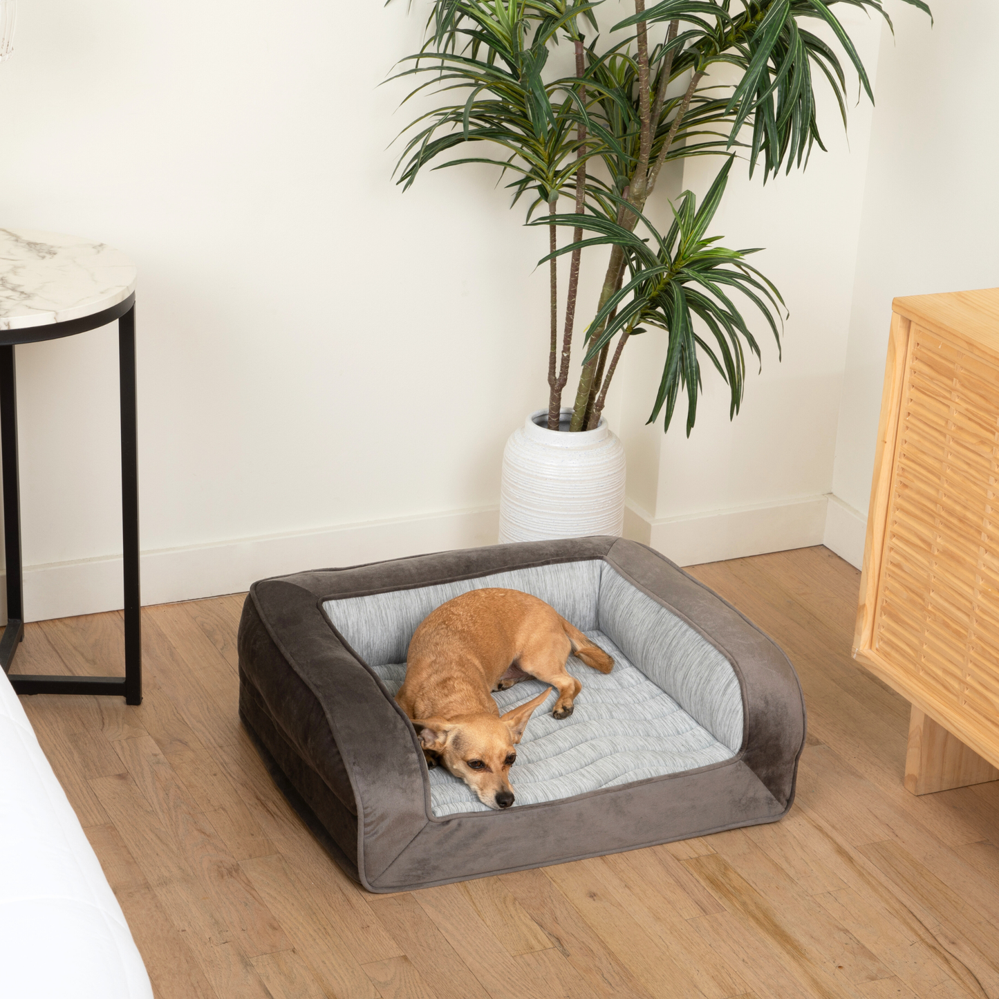 PupChill™ Cooling Bolster Dog Bed Paw