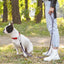Biothane Waterproof Dog Leash, 4 ft Dog Leashes Dogline