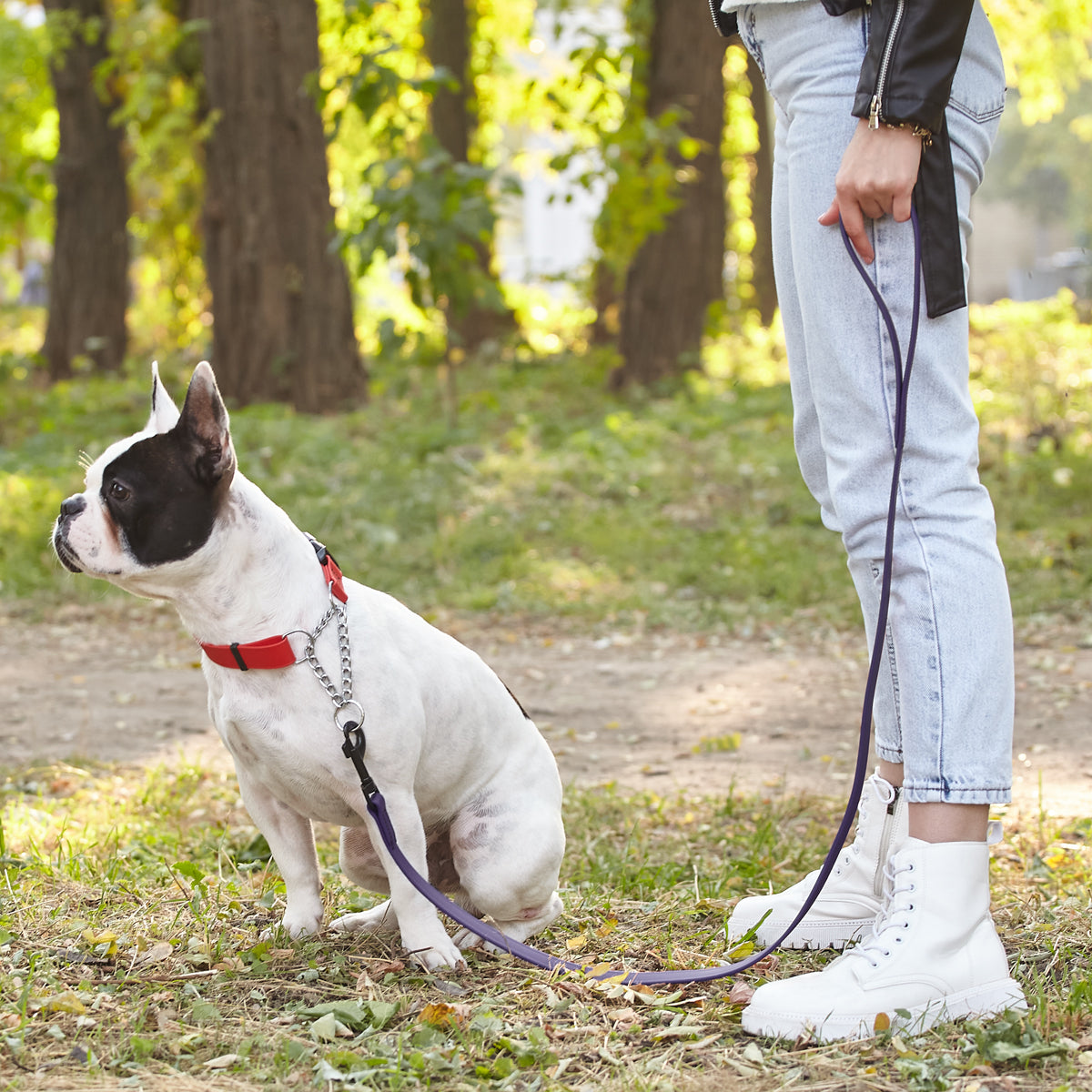 Biothane Waterproof Dog Leash, 4 ft Dog Leashes Dogline