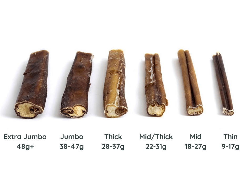 Bully Sticks 6" and 12" | SINGLES | Very Low Odor | Grass-fed/Free-range Dog Treats Bones Bully Sticks and Natural Chews Chief’s Treats and Pet Supplies