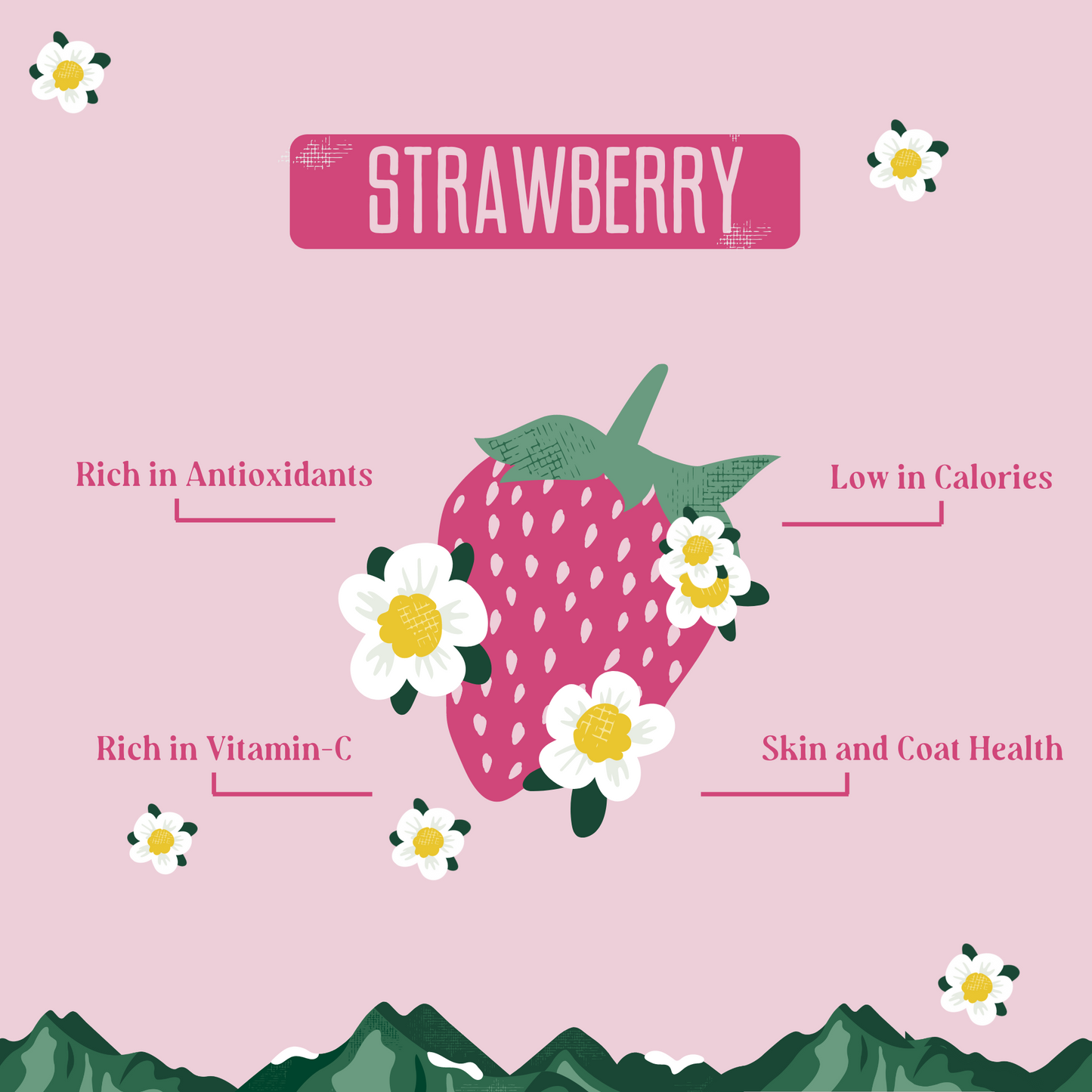 Strawberry Cheese Chews for Dogs STRAWBERRY YAK CHEESE CHEWS Yak9 Chews
