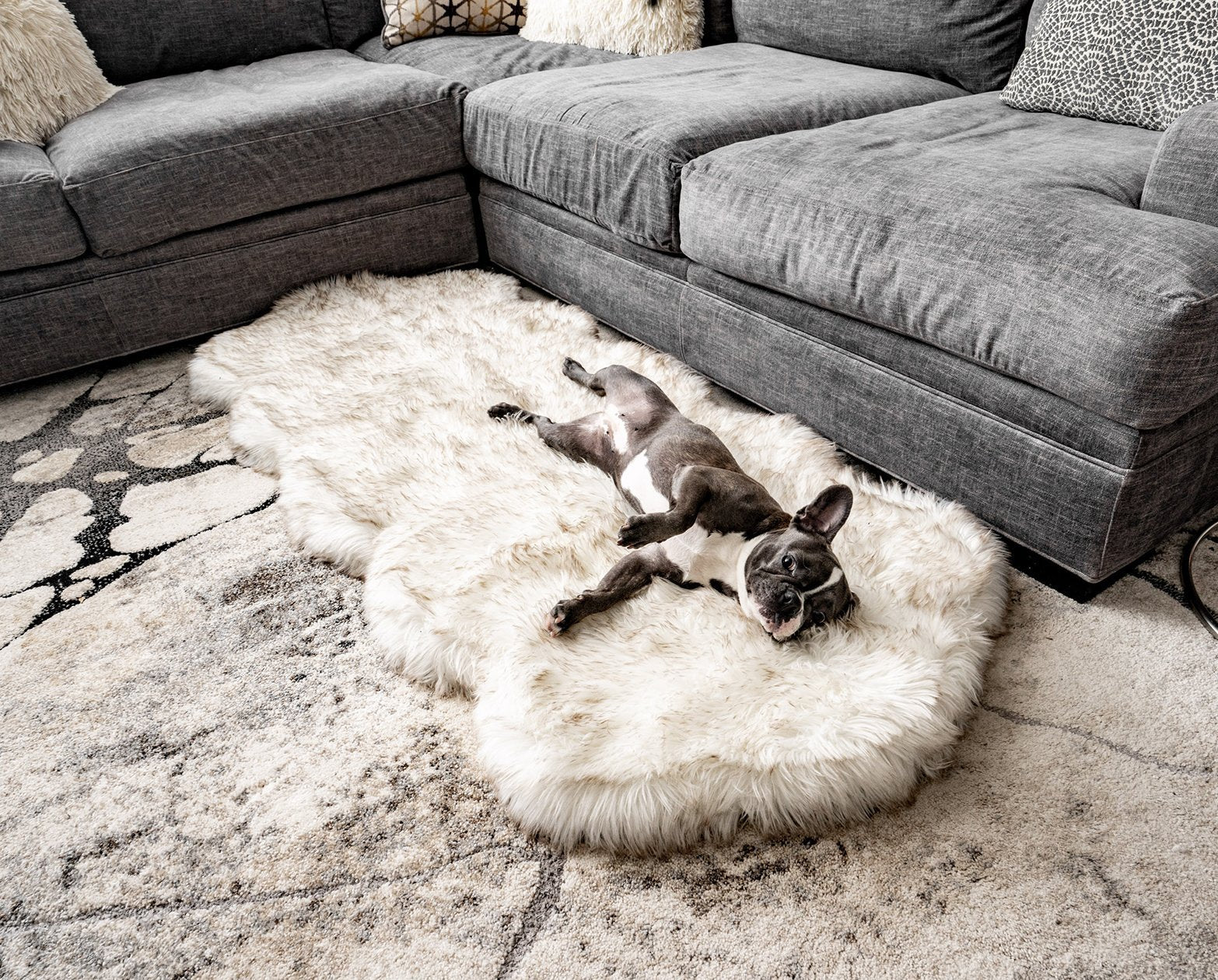 PupRug® Runner Faux Fur Memory Foam Dog Bed - Curve White with Brown Accents One Size (72" L x 28" W) Dog Beds Paw