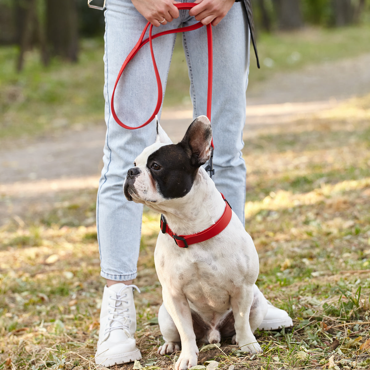 Biothane Waterproof Dog Leash, 4 ft Dog Leashes Dogline