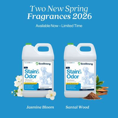 Pet Stain and Odor Eliminator Pet & Animal > Pet Stain & Odor EcoStrong