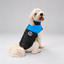 Wilderness Shield Vest Coat The Wild Paw