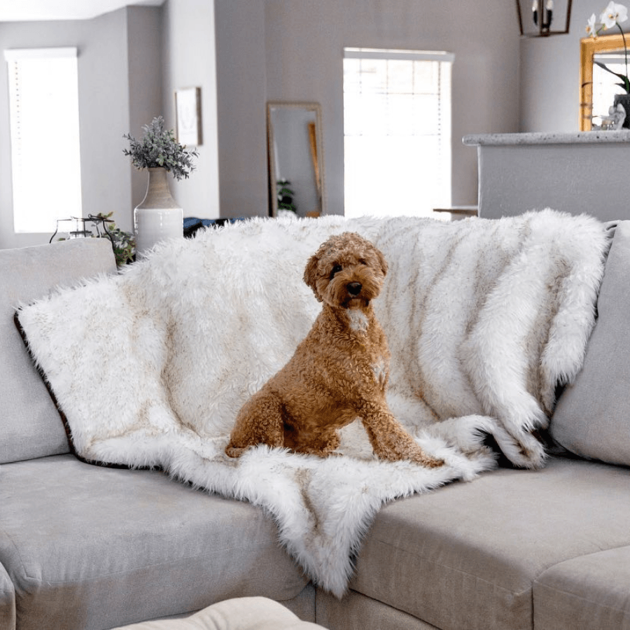 PupProtector™ Waterproof Throw Blanket - White with Brown Accents Dog Blanket Paw.com