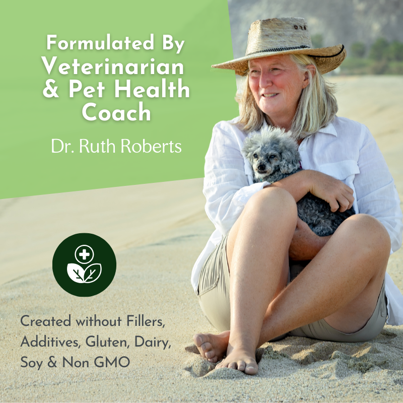 Holistic Total Body Support — Daily Multivitamin & Pasture-Raised Glandular Blend for Dogs & Cats Vitamins & Supplements Dr. Ruth Roberts