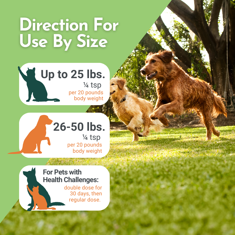 Holistic Total Body Support — Daily Multivitamin & Pasture-Raised Glandular Blend for Dogs & Cats Vitamins & Supplements Dr. Ruth Roberts