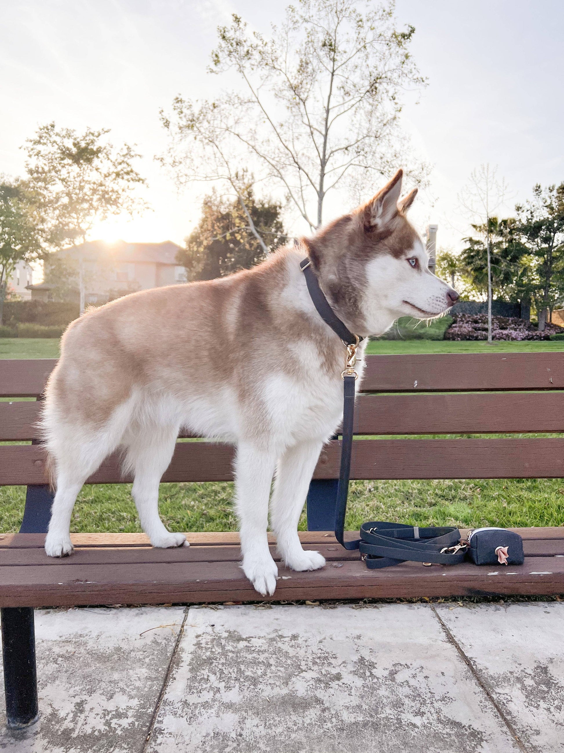 Black Waste Bag Holder Pet Waste Bag Dispenser SUNNY TAILS
